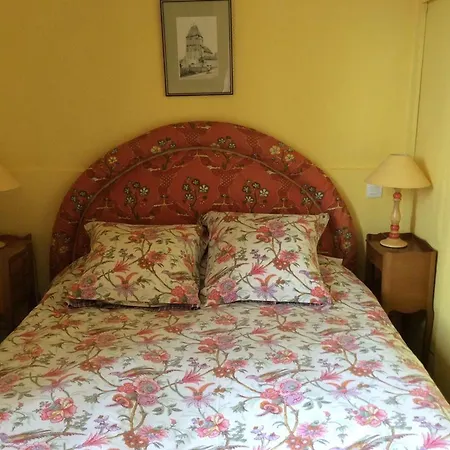 Historique Au Chateau De Charme Proche Du Mans - Fr-1-410-453 * Saint Pavace