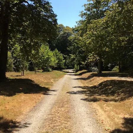 Historique Au Chateau De Charme Proche Du Mans - Fr-1-410-453 * Saint Pavace