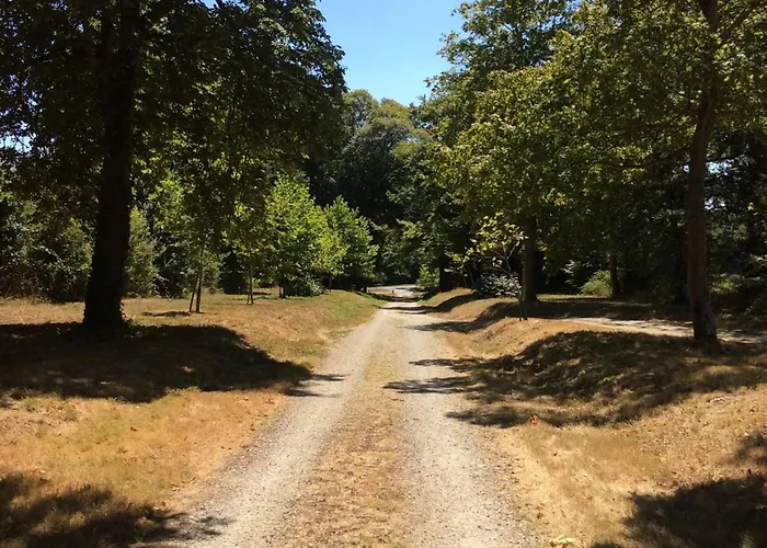 Historique Au Chateau De Charme Proche Du Mans - Fr-1-410-453 * Saint Pavace